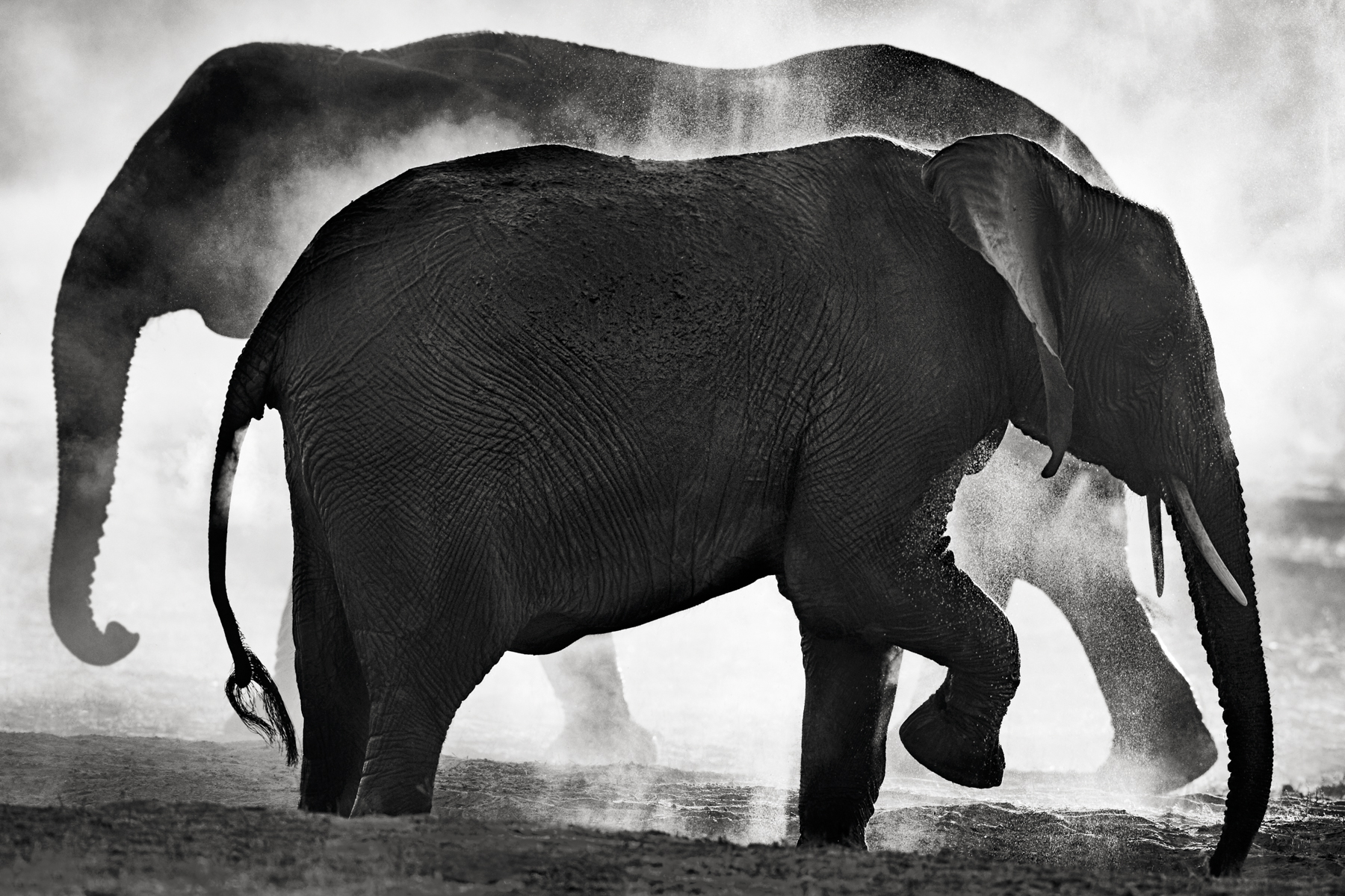 Elephant Dream - Another World - © Kyriakos Kaziras