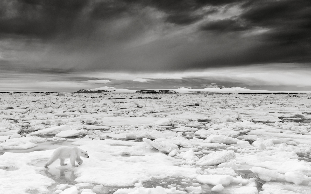 Arctic Emotion - © Kyriakos Kaziras